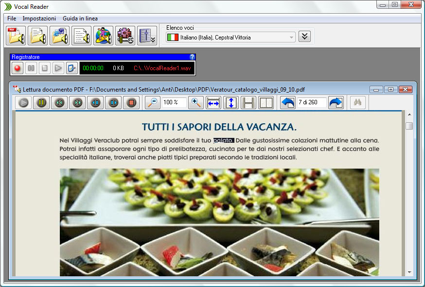 Visualizzazione e lettura di un documento PDF